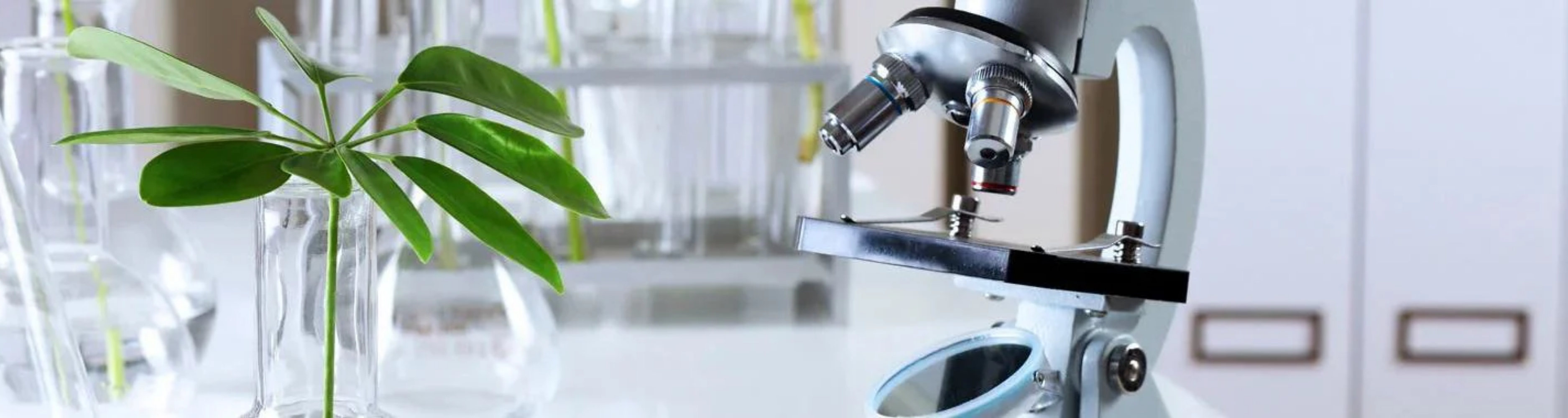 Marketplace Blog Visuals (12)