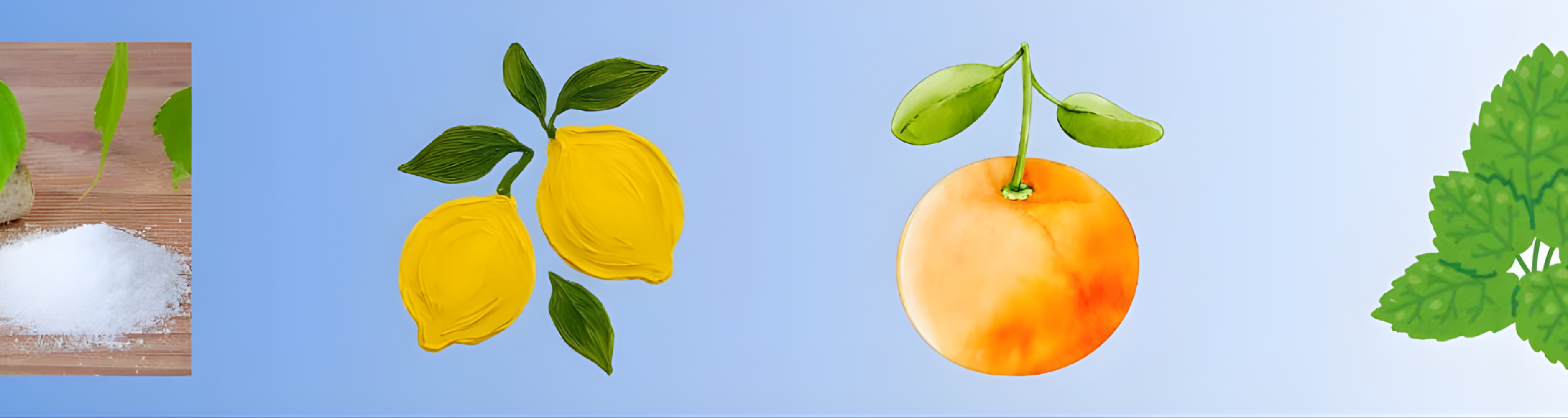 Marketplace Blog Visuals (13)